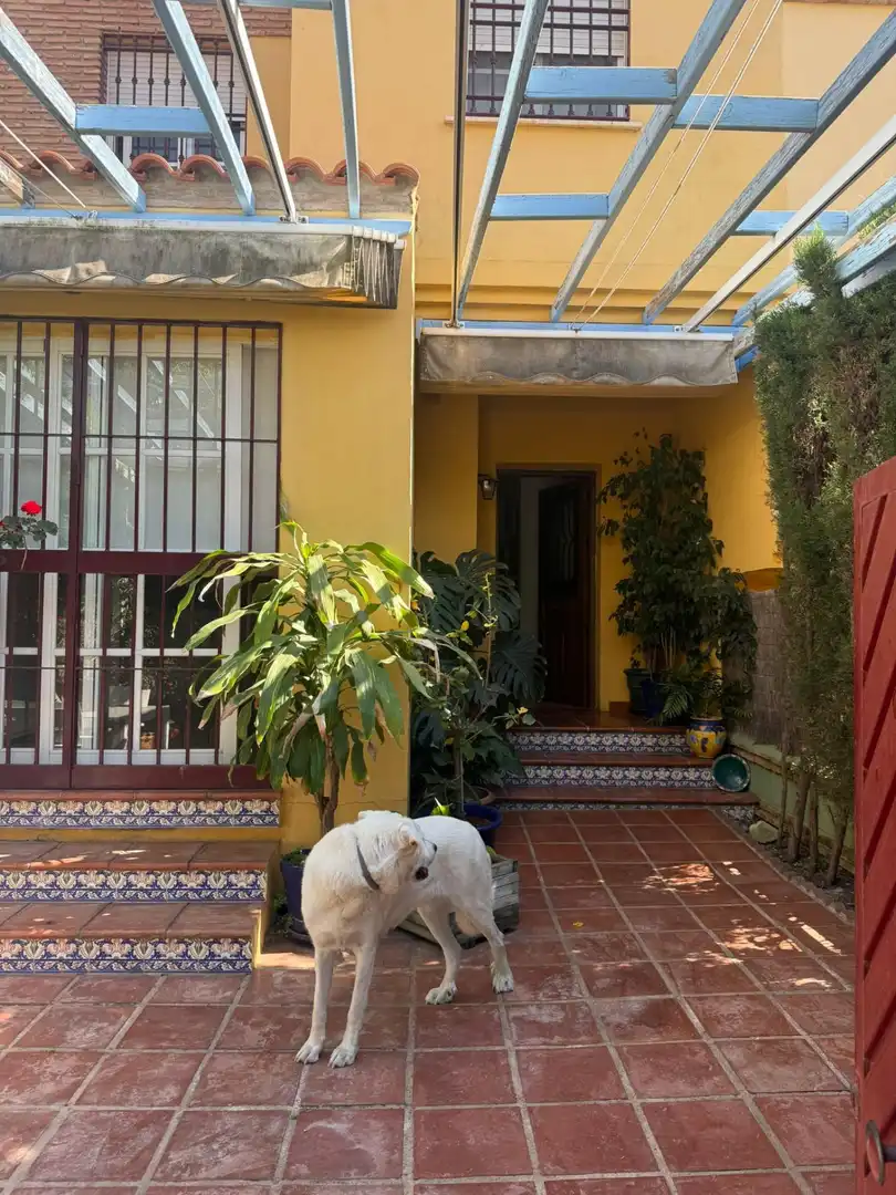 Exterior view of Detached homes for sale in Cotomar