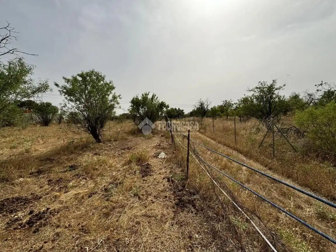 Terreno en venta en Mejorada del Campo