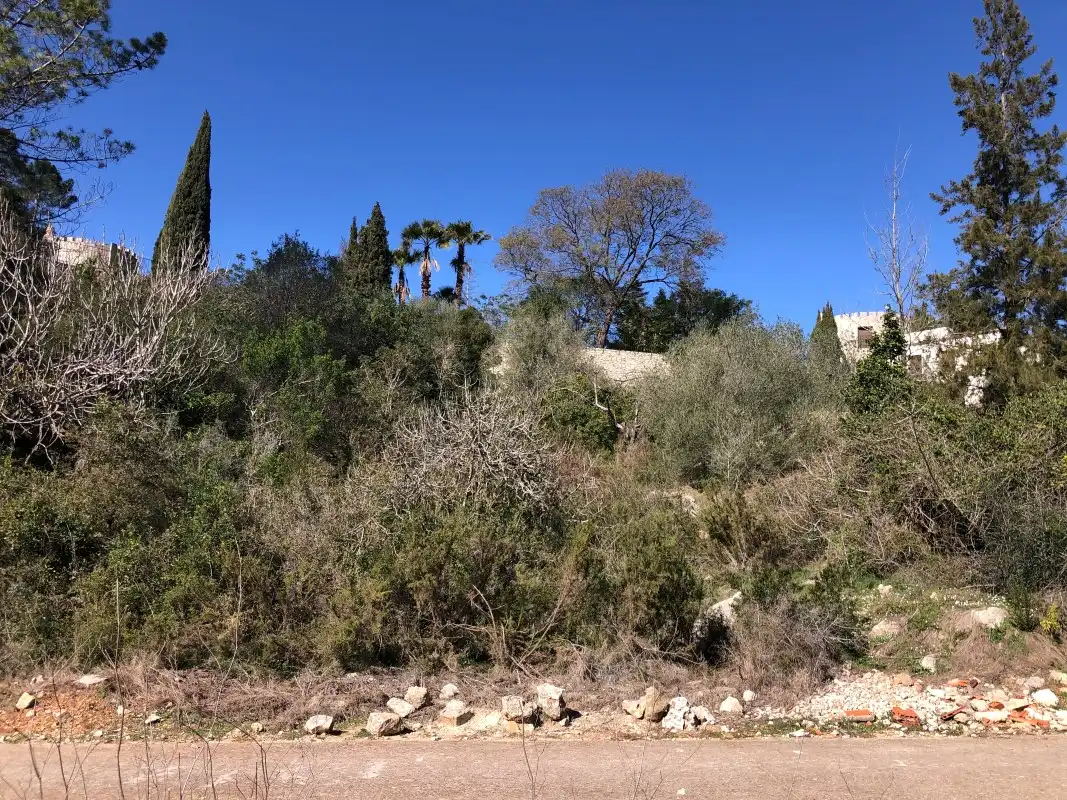 Rural land for sale in Barx, imagen 7