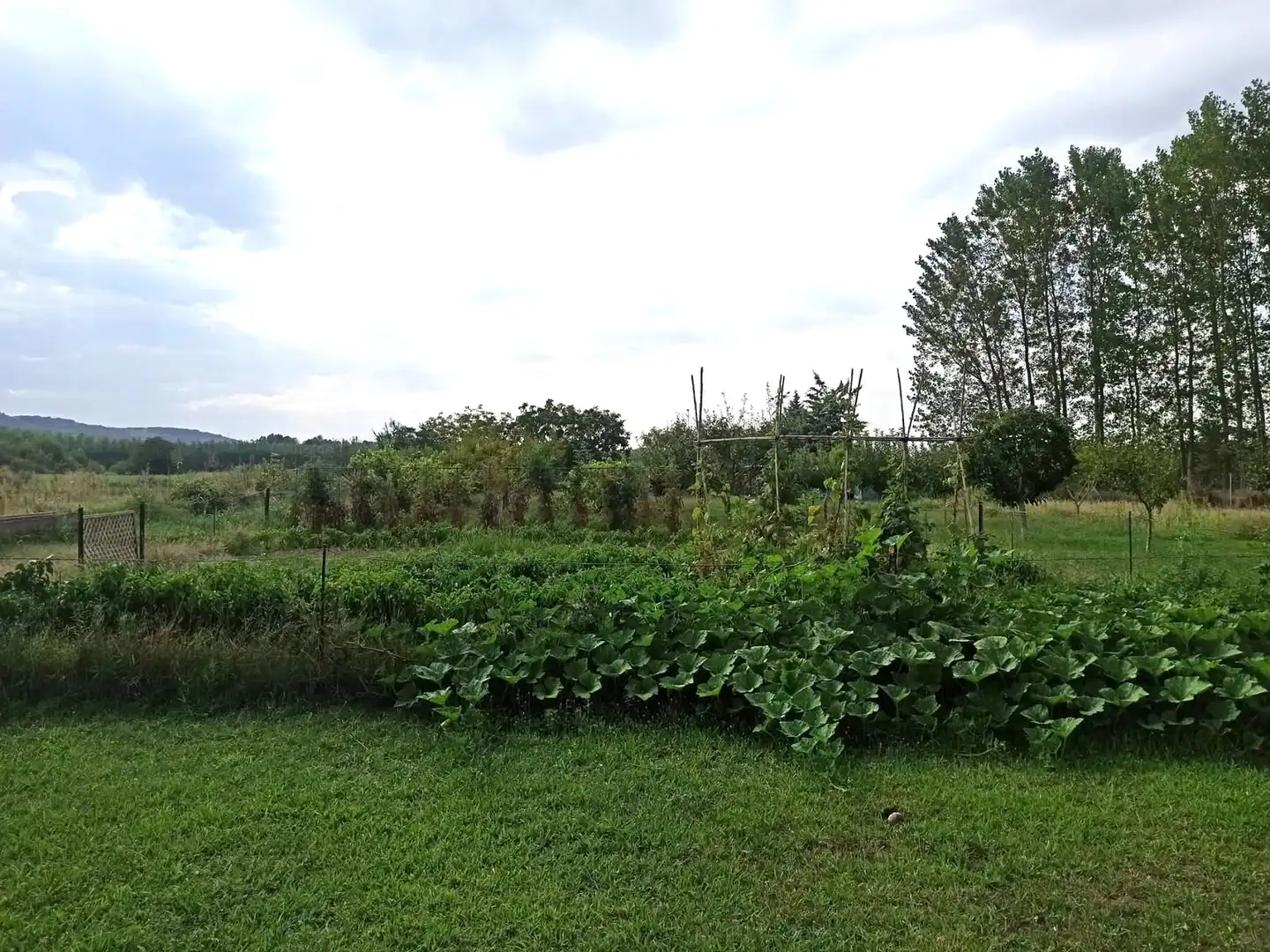 Terreno en venta en Viana
