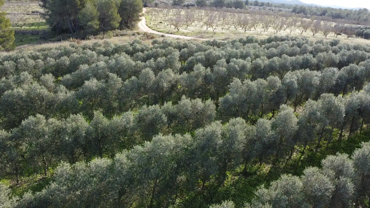 Terreno en venta en Tivissa