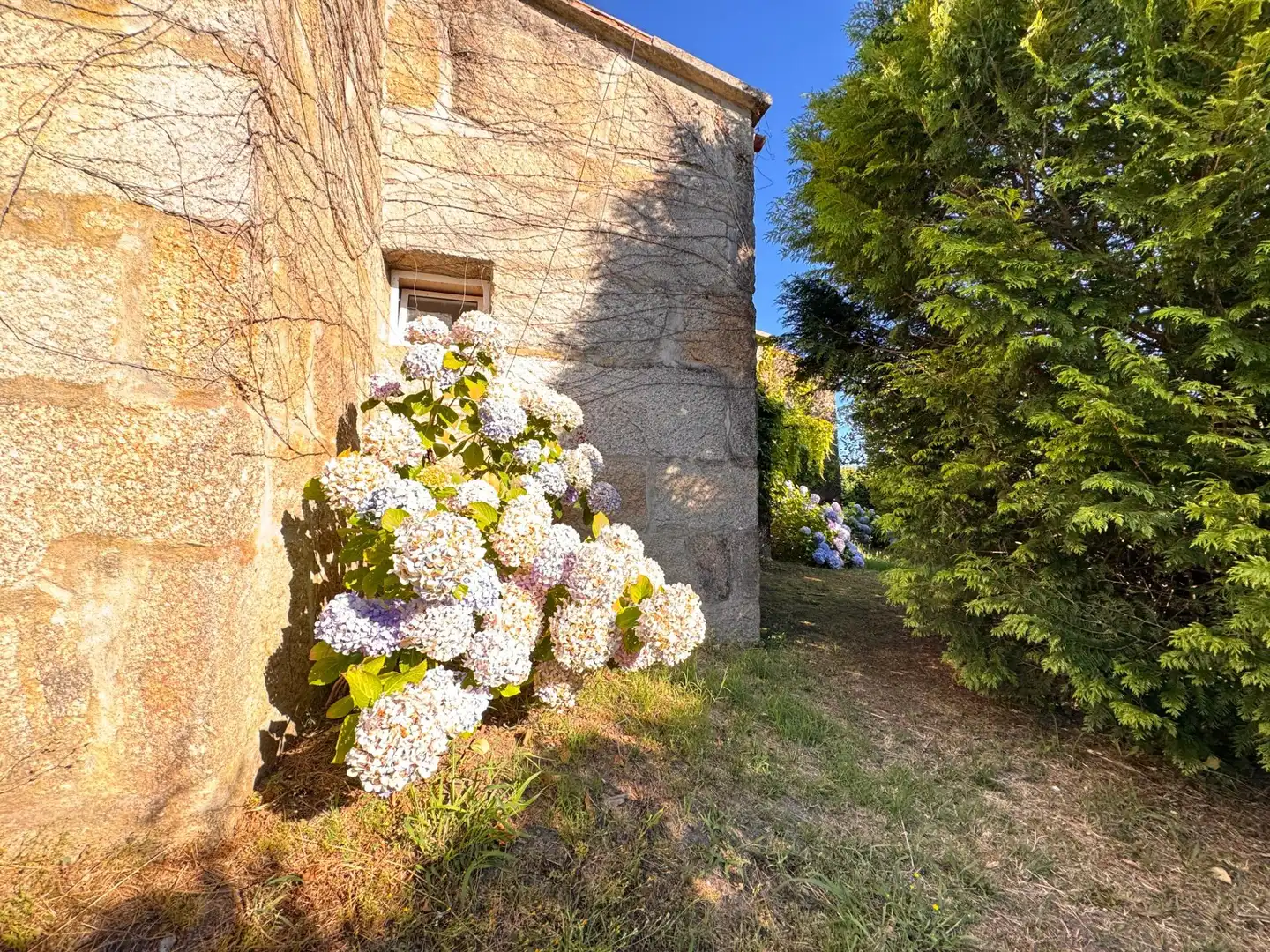 Jardín de Casa o chalet en venta en Pontevedra Capital  con Calefacción, Jardín privado y Terraza