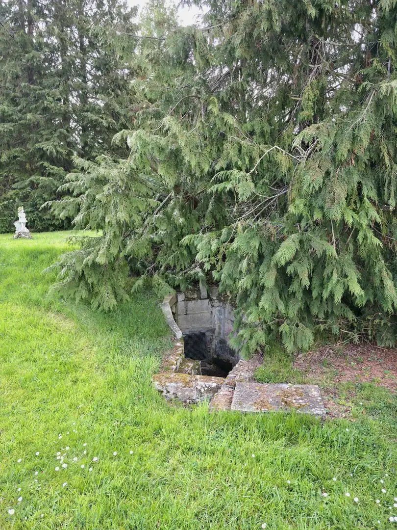 Vista exterior de Casa o xalet en venda en Pomar de Valdivia amb Calefacció, Jardí privat i Terrassa