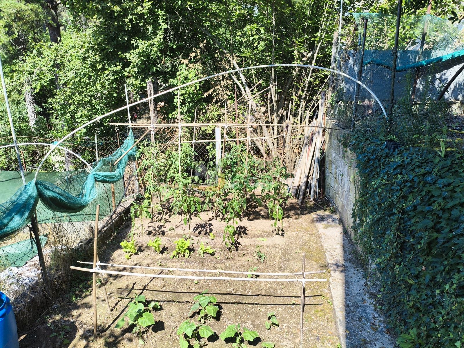 Jardí de Casa o xalet en venda en Monistrol de Calders amb Jardí privat, Terrassa i Balcó