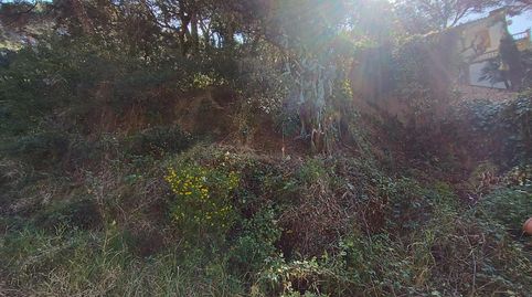 TERRENO EN CALA CANYELLES, imatge 4