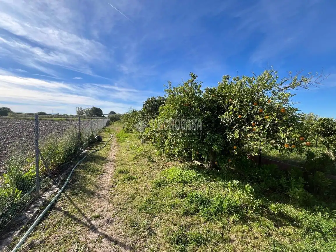Terreno rústico en venta en Jerez norte - Montealto - Pozoalbero, imagen 11