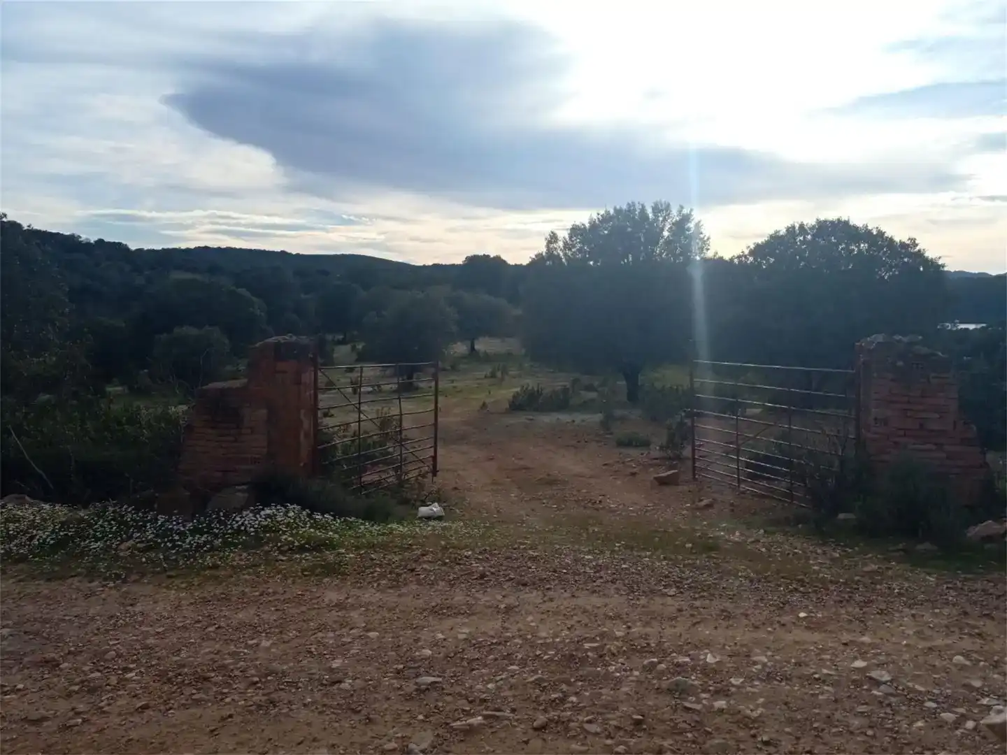 Terreno en venta en Fuenlabrada de los Montes, Badajoz
