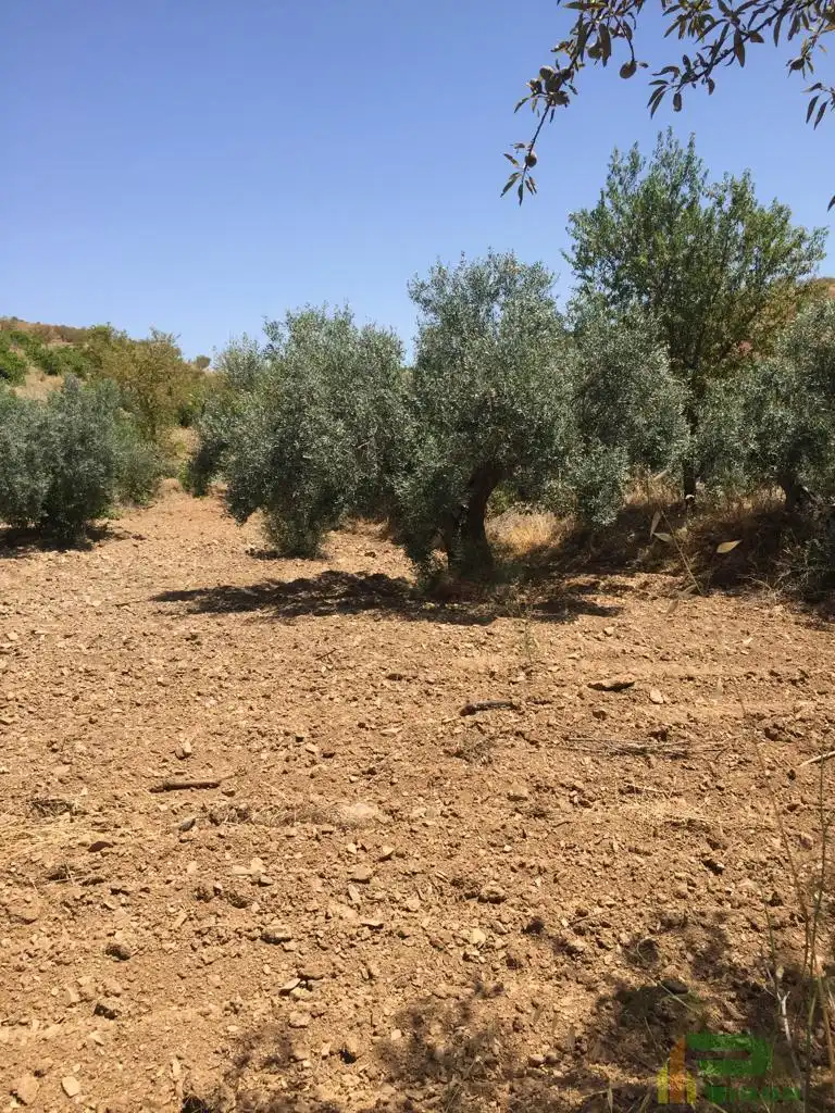 Terreni e lotti in vendita a Sierra de La Torrecilla