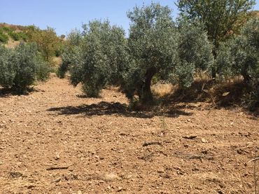 Terrenys i solars en venda a Sierra de La Torrecilla