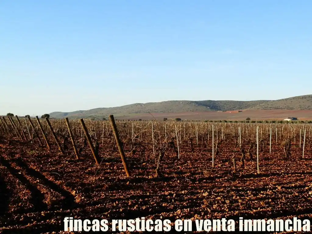 Terreno rústico en venta en Moral de Calatrava, imagen 14