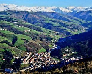 Vista exterior de Edifici en venda en Cangas del Narcea