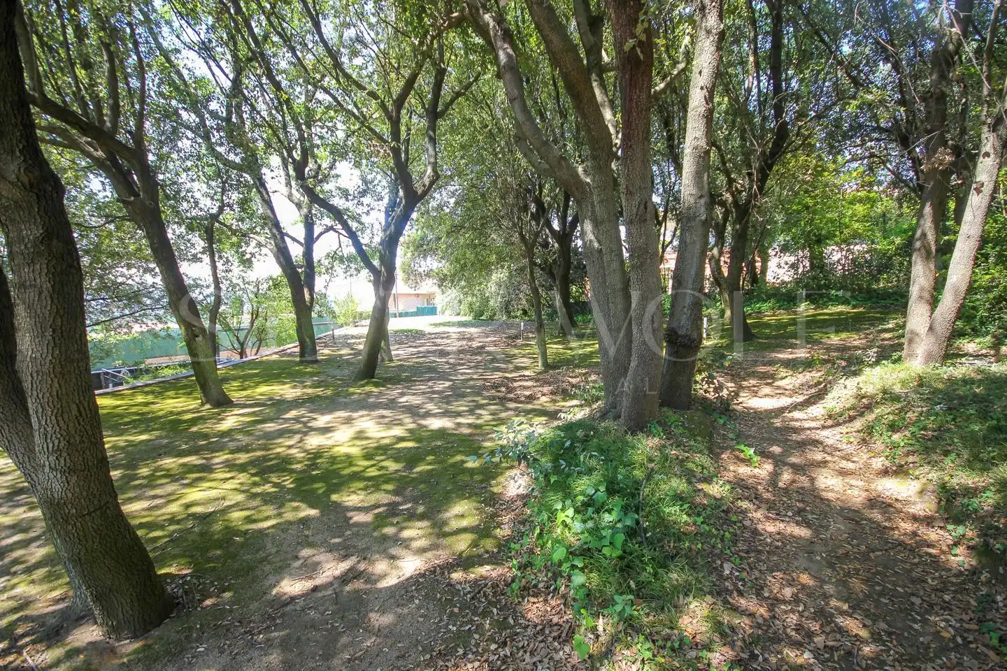 Maison avec piscine à vendre à Soleia, imagen 47