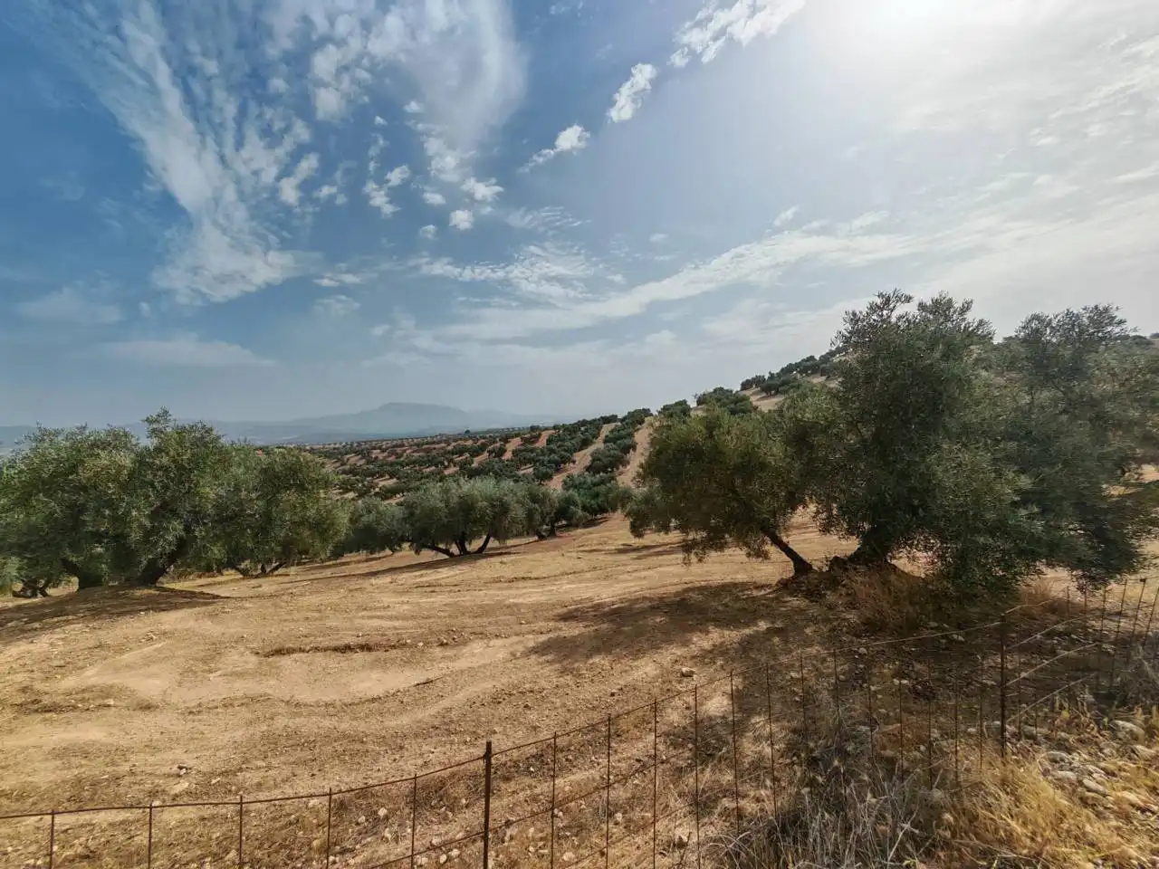 Land for sale in Salar