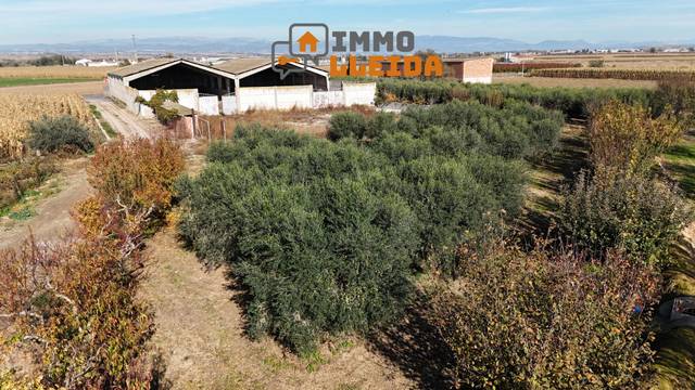 Nave industrial en Venta en Afores, S/N en Térmens