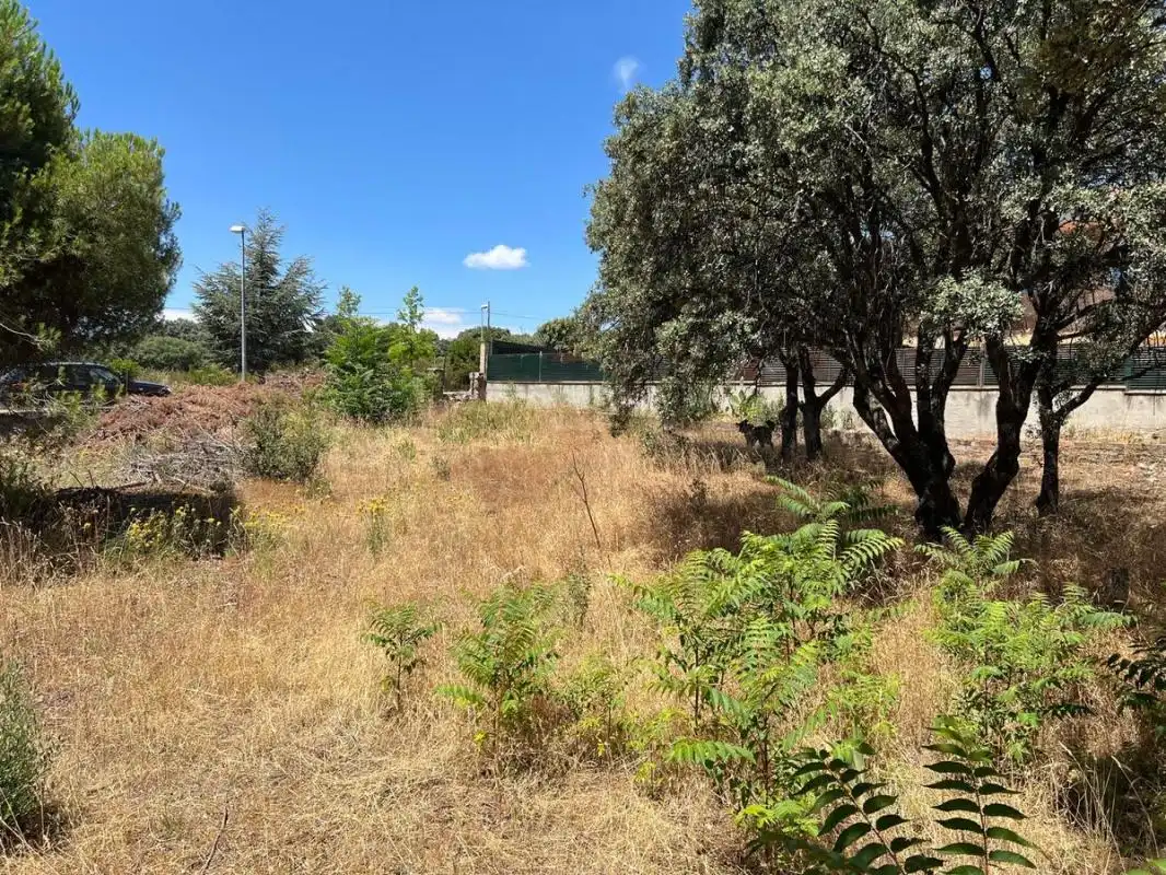 Terreny residencial en venda a Las Zorreras - Monte Encinar, imagen 4
