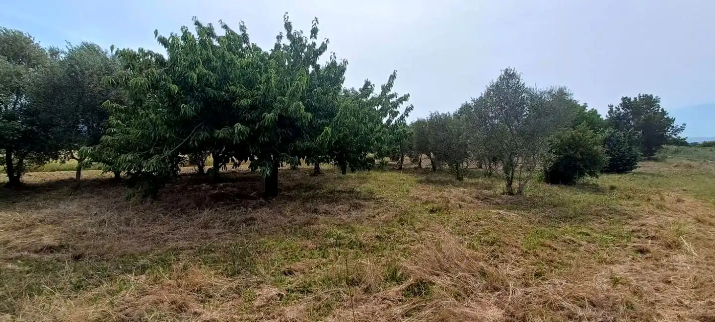 Finca rústica en venta en Mendavia con Jardín privado
