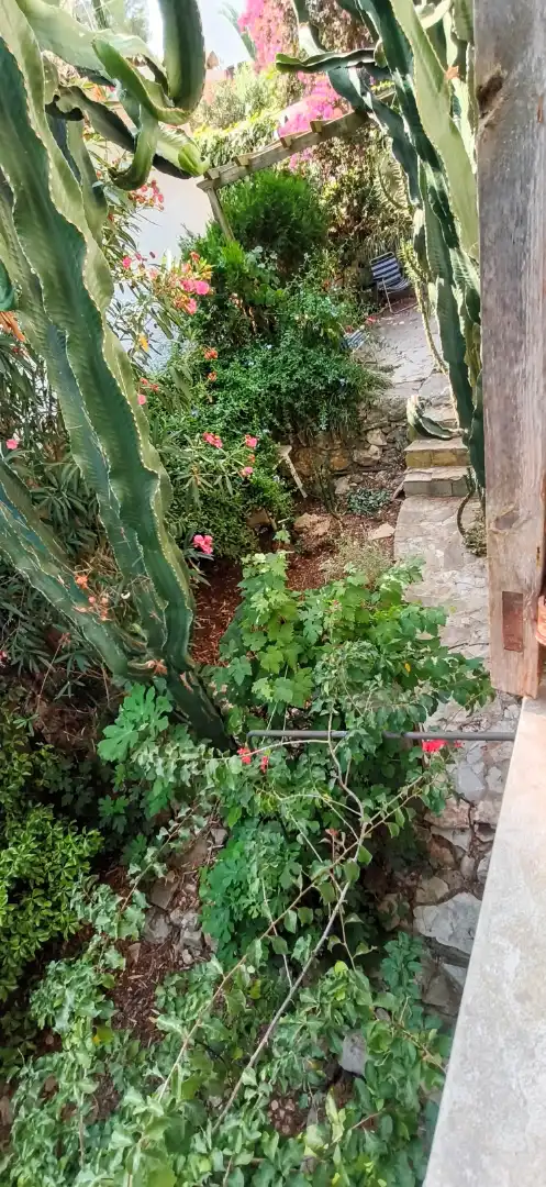 Villa mit Pool zum Verkauf in Calle Isla Columbreta Grande, imagen 36