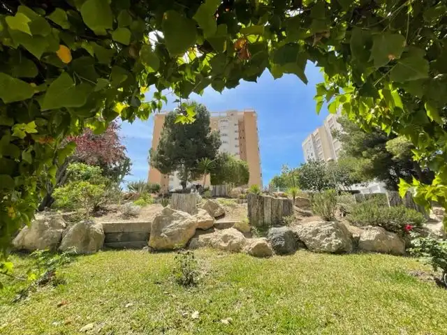Vista exterior de Pis en venda en Alicante / Alacant amb Traster i Piscina comunitària