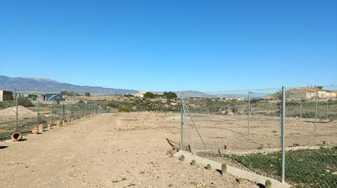 Foto 5 de Finca rústica en venta en Raiguero Bajo, Totana, Murcia