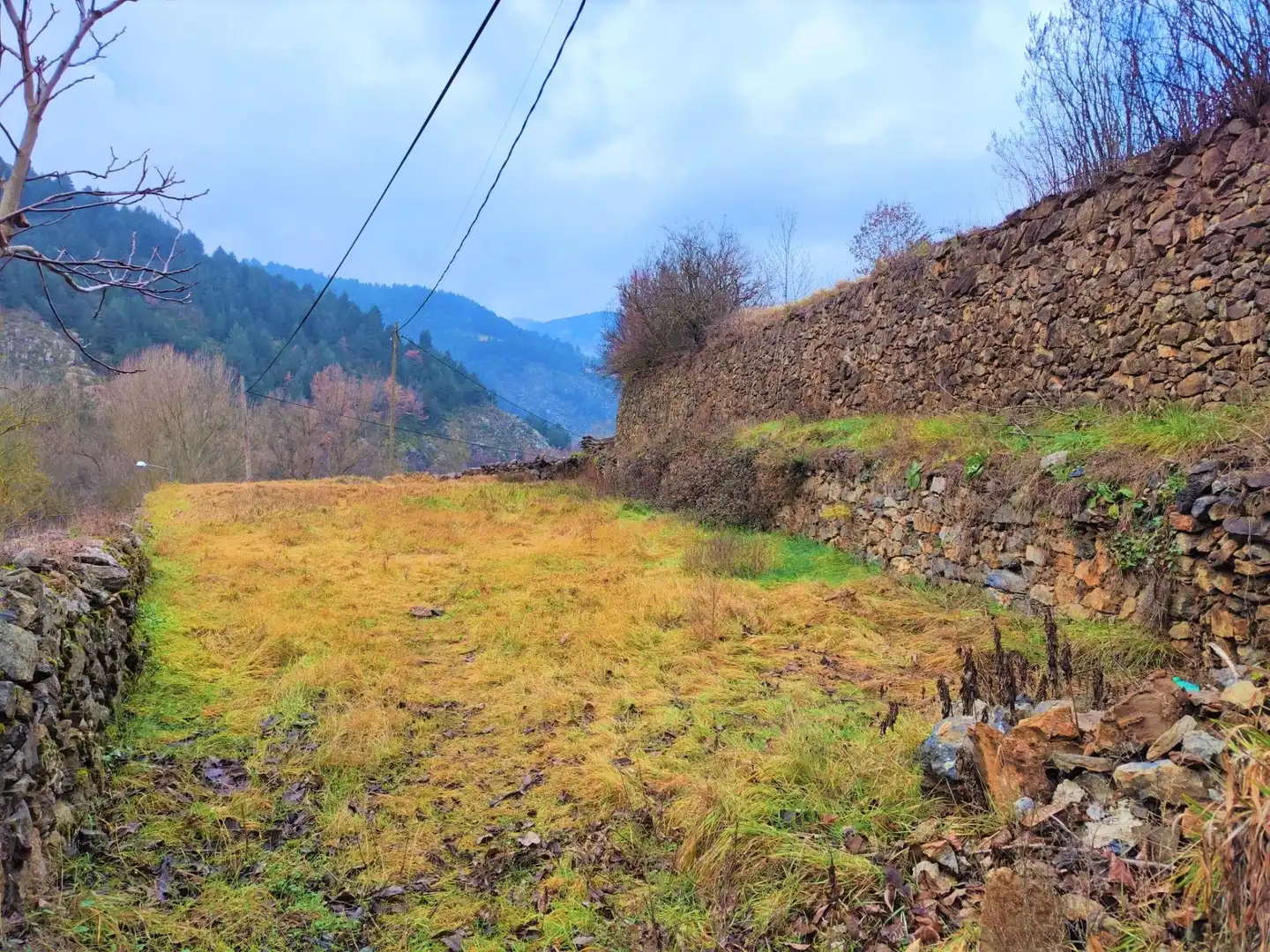 Terrenys i solars en venda a Montellà i Martinet