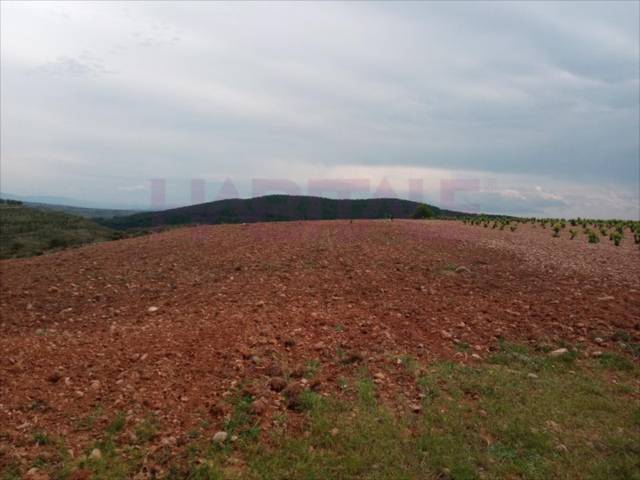 Terreno residencial en Alquiler en Clarés de Ribota