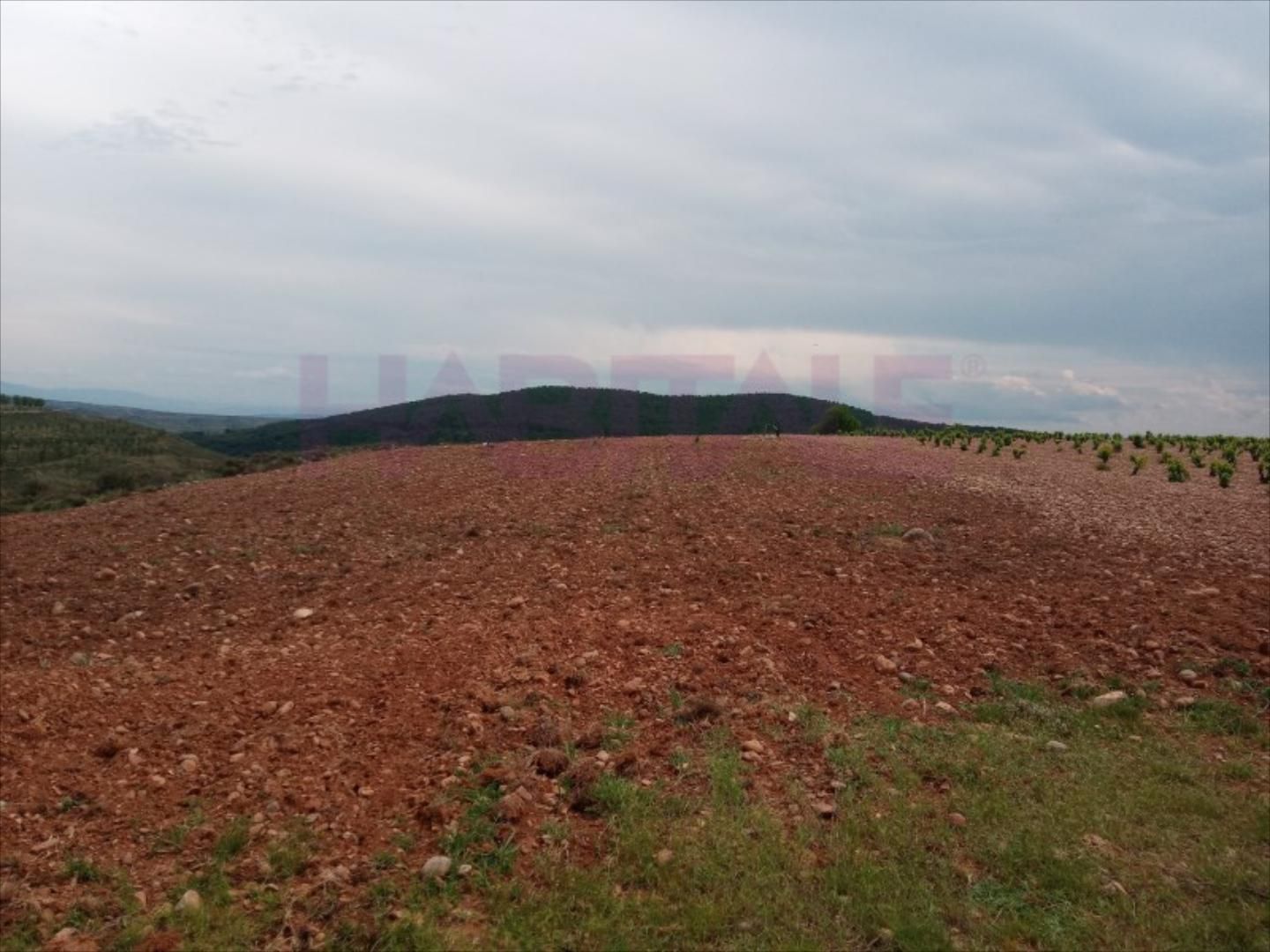 Residencial de lloguer en Clarés de Ribota