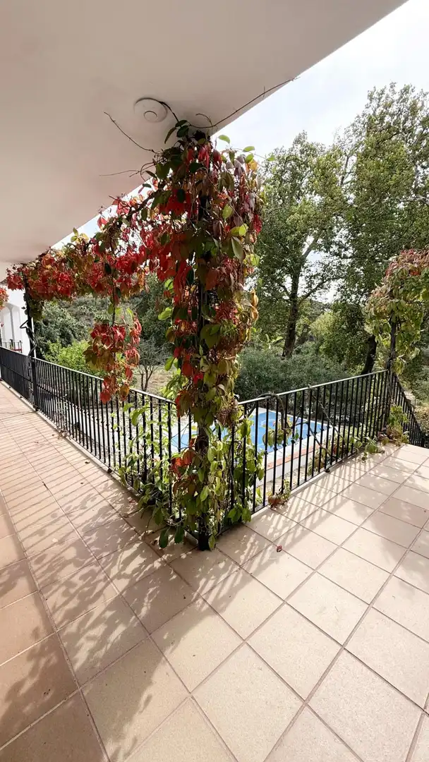 Terrasse von Gebäude zum Verkauf in Almonaster la Real, Huelva
