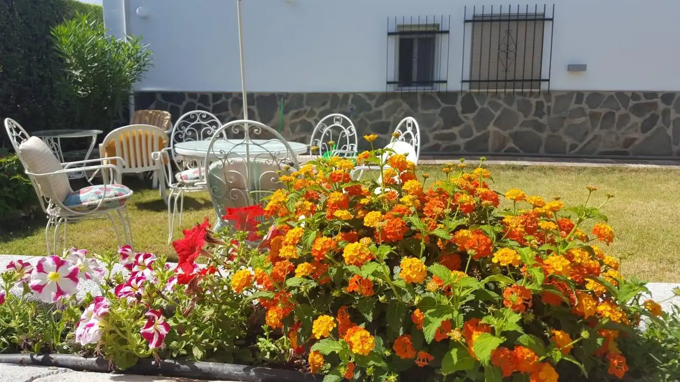 Chalet con piscina en venta en Calle DOCTOR PALOMO CRESPO, imagen 2