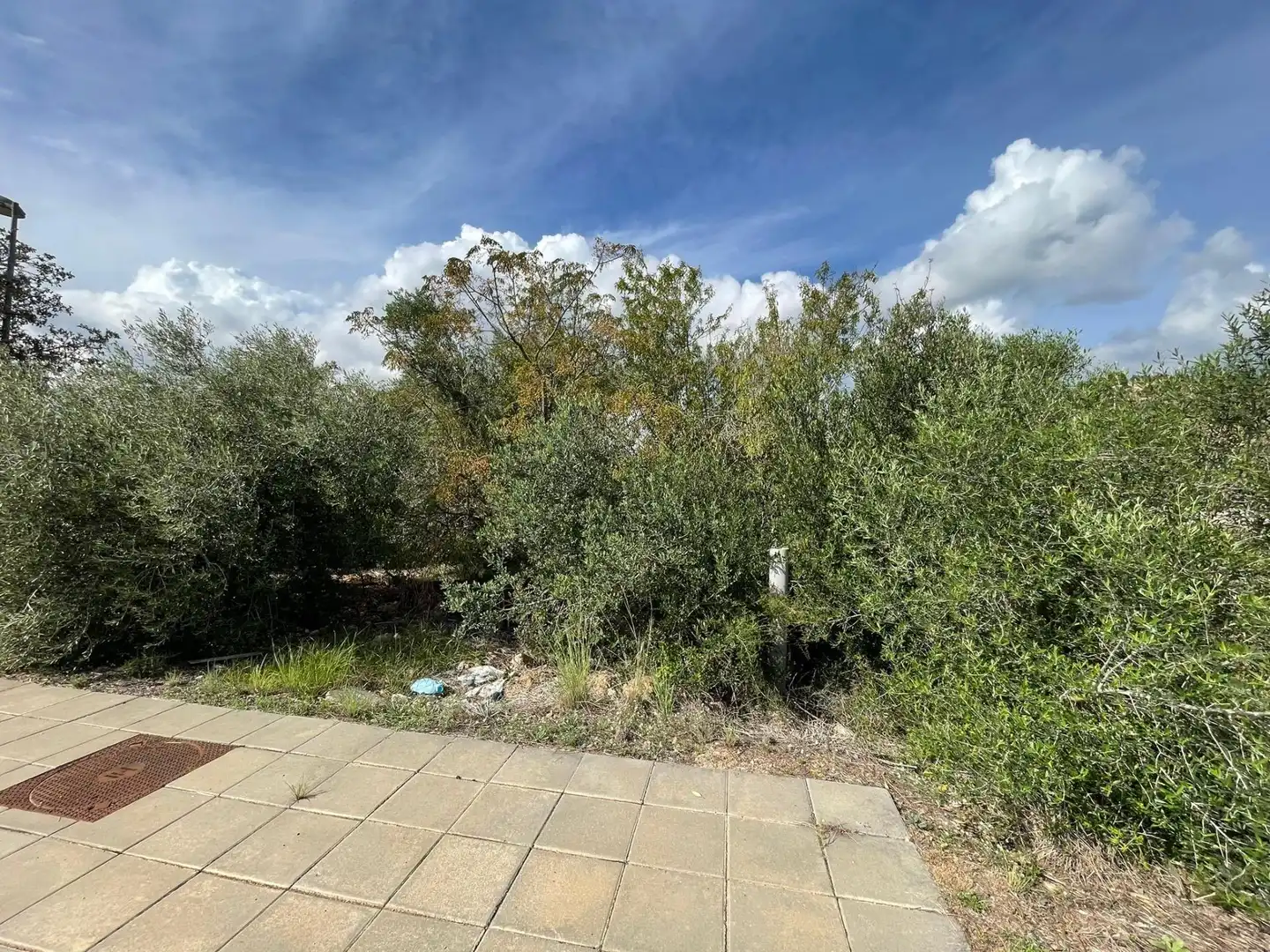 Terreno residencial en venta en Alcanar, imagen 3