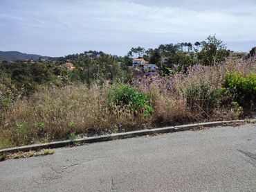 Terreny residencial en venda a Lloret Blau - La Creu de Lloret