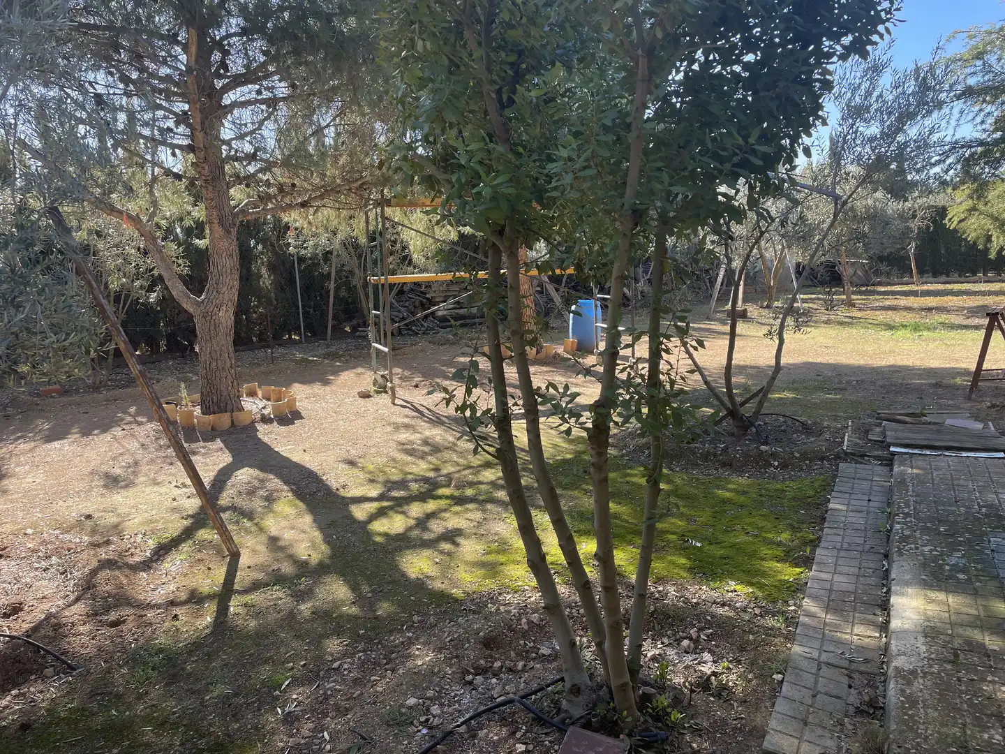 Chalet con jardín en venta en Argamasilla de Alba, imagen 39