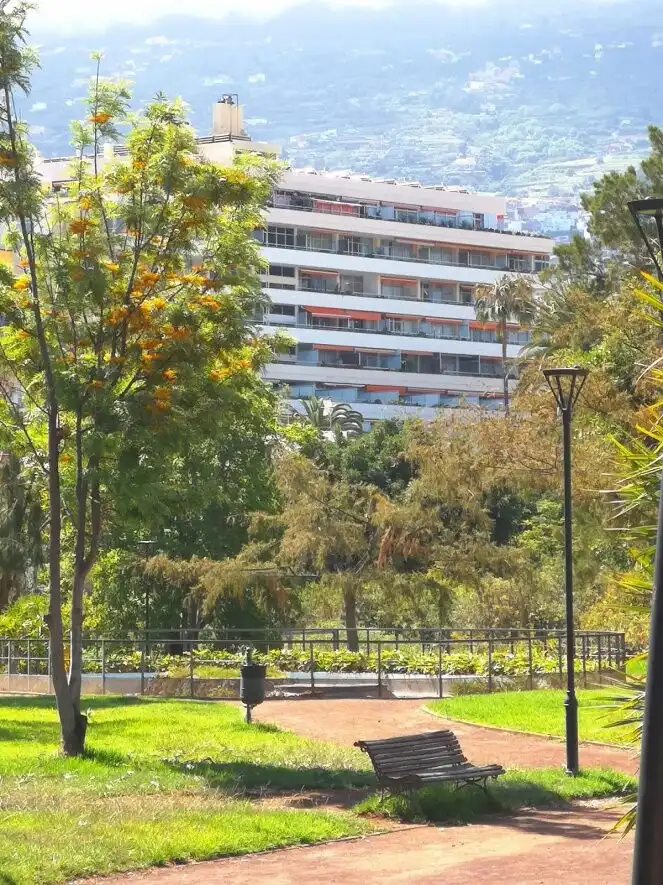Vista exterior de Estudi en venda en Puerto de la Cruz amb Terrassa