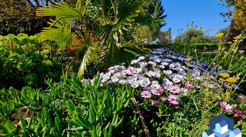 Foto 3 de Casa o xalet en venda a Tiata, Lorca