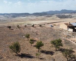 Casa o xalet en venda en Totana amb Terrassa