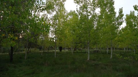 Foto 4 de Casa o xalet en venda a Riba-roja de Túria, Valencia