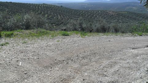 MAGNÍFICA FINCA DE OLIVOS MARTEÑO CON TOMA DE LUZ, immagine 5