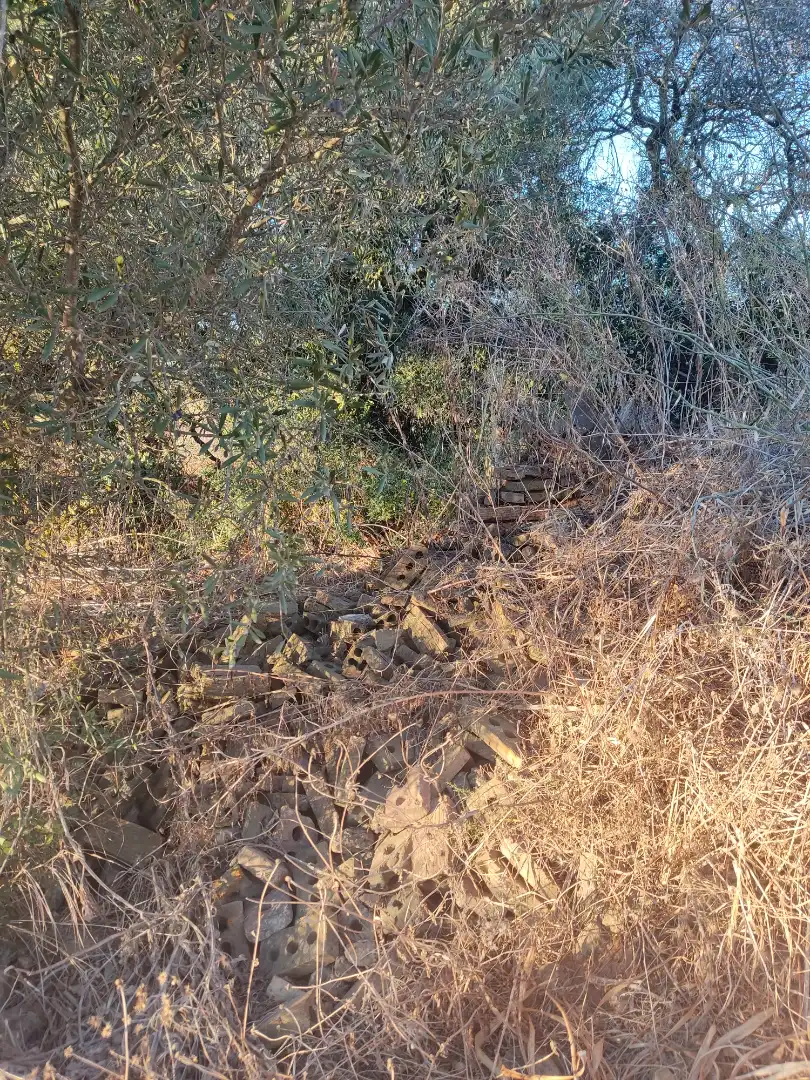 Terreno en venta en Conil de la Frontera