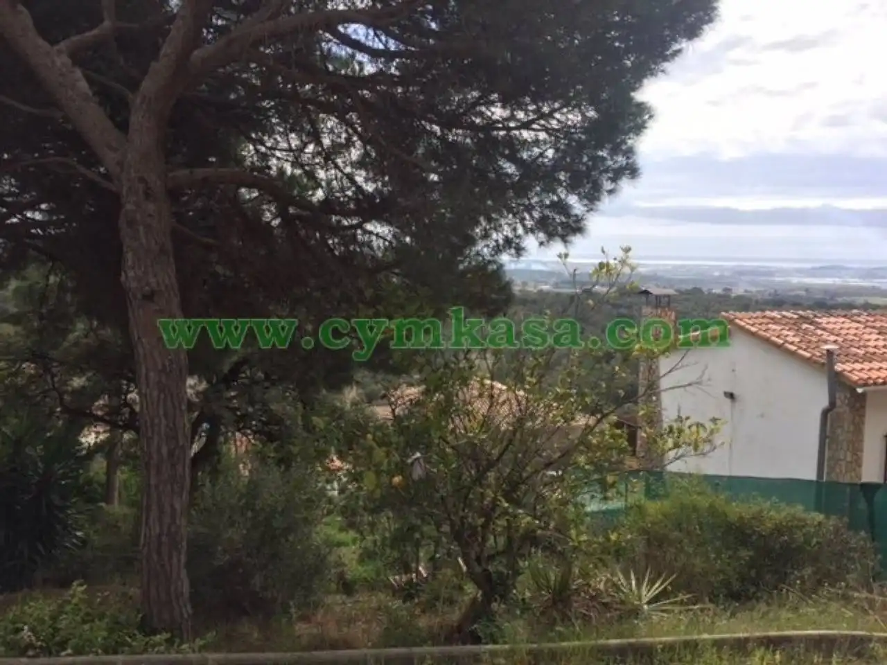 Terreno rustico in vendita a Mas Mora - Sant Daniel, imagen 3