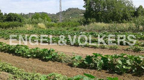 Terreno agrícola y forestal muy cerca de Geldo, immagine 3