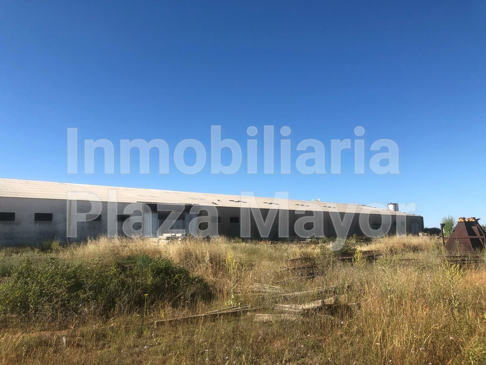 Industrial buildings for sale in Castellanos de Villiquera
