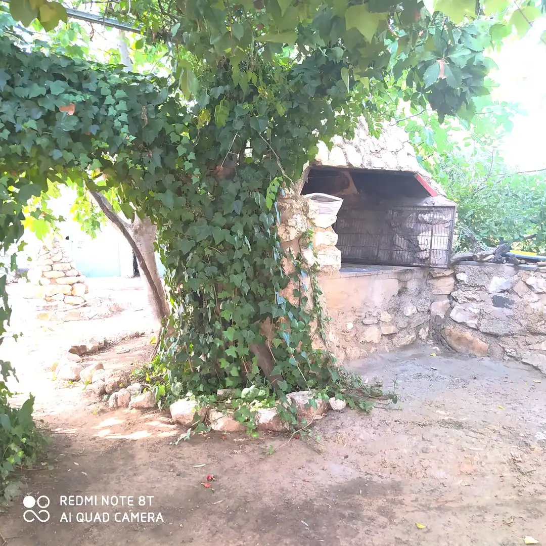 Chalet con jardín en venta en Malagón, imagen 21