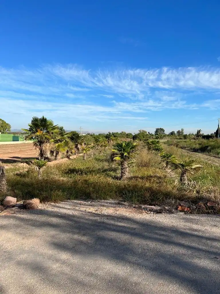Terreno rústico en venta en Camino ABRES, imagen 6