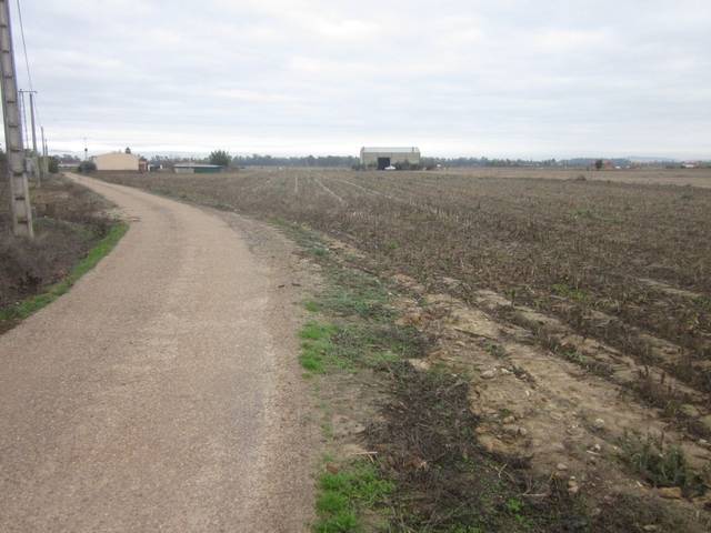 Terreno en Venta en Don Benito