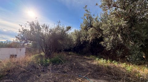 TERRENO EN INSTINCIÓN, immagine 3
