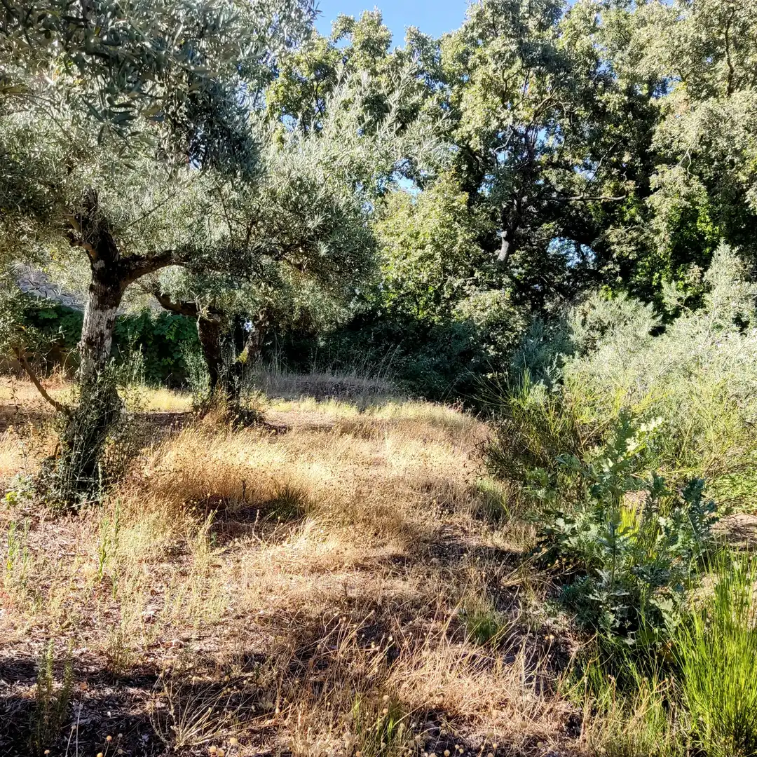 Terreni e lotti in vendita a Jarandilla de la Vera, imagen 8