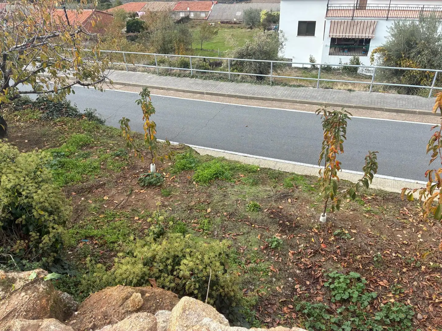 Residential land for sale in Paseo Naranjos 118, imagen 5