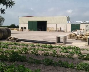 Exterior view of Industrial buildings to rent in El Puerto de Santa María