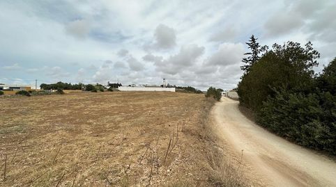 Terreno rustico en ConilLa Lobita