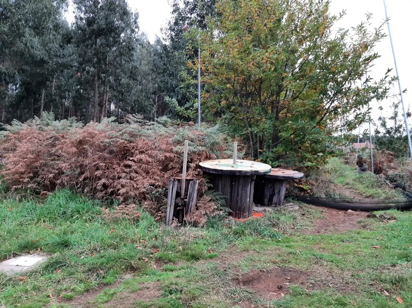 Jardí de Terreny industrial en venda en Valdoviño
