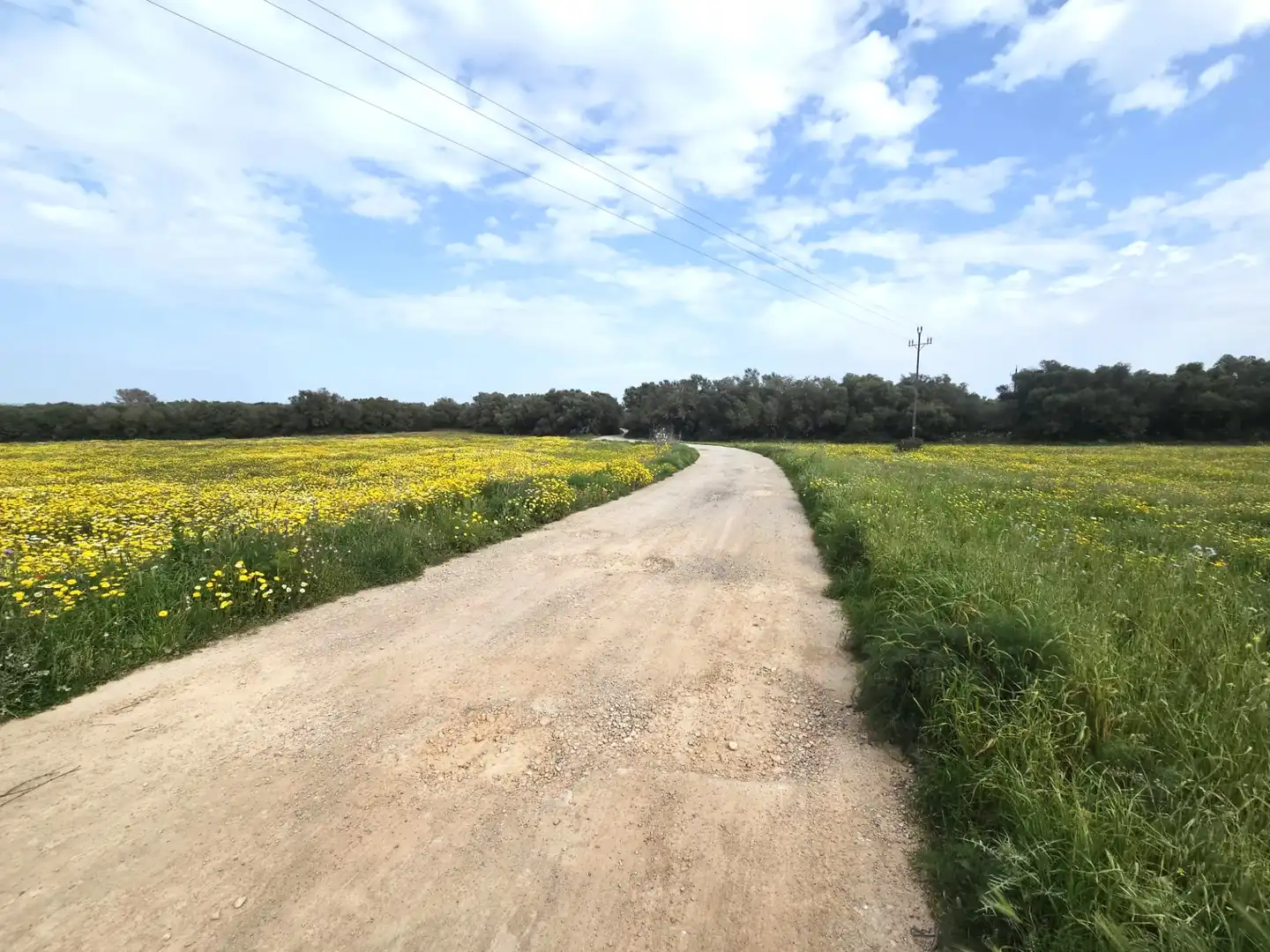 Land for sale in  Palma de Mallorca